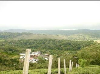 Residential Land for Sale in Wayanad, Wayanad, Wayanad, Periya