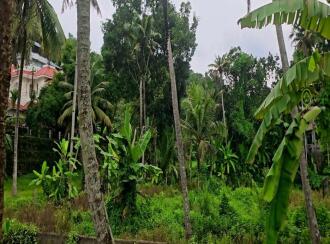 Commercial Land for Sale in Kollam, Kottarakkara, Kottarakkara, Near Pittappally Agencies