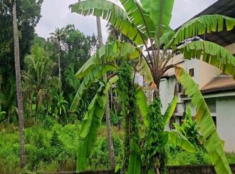 Commercial Land for Sale in Kollam, Kottarakkara, Kottarakkara, Near Pittappally Agencies