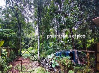 Residential Land for Sale in Thrissur, Kodungallur, Methala, TKS puram azhikode road - after chitira valavu turn right to I R krishnan master road at 50 m the plot
