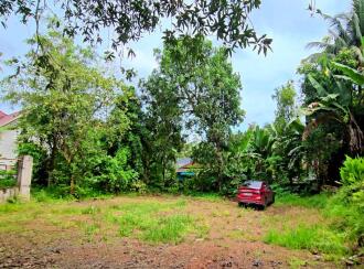 Residential Land for Sale in Kottayam, Kottayam town, Mariyappally, Mariyappally, MC Road side