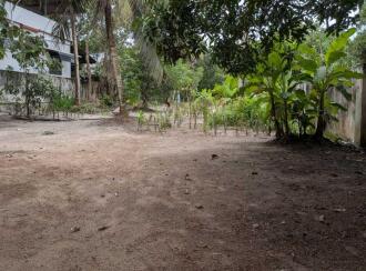 Residential Land for Sale in Alleppey, Alappuzha, Thumboli, near prividance hospital