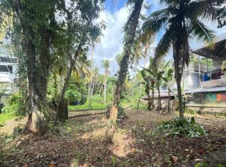 Residential Land for Sale in Ernakulam, Tripunithura, Udayamperoor
