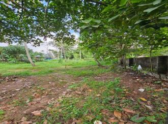 Residential Land for Sale in Kollam, Chathannoor, Chathannoor, Uramvila, Chathannoor