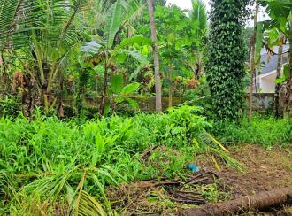 Residential House Villa for Sale in Kollam, Kottarakkara, Odanavattom, Odanavattom