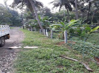 Residential Land for Sale in Thrissur, Pattikkad, Pattikkad