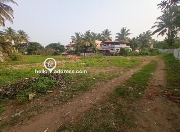 View of the plot location