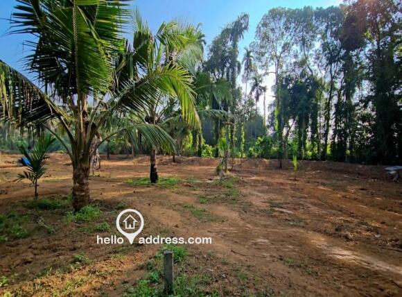 Residential Land for Sale