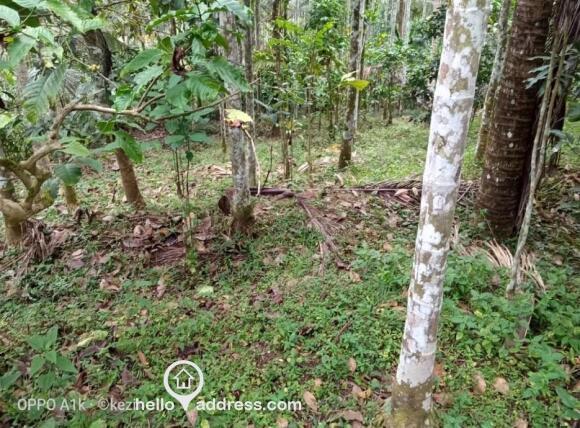 Residential Land for Sale