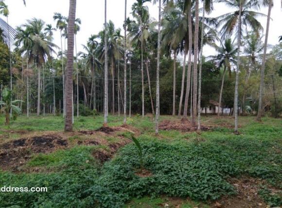 Agricultural Land for Sale