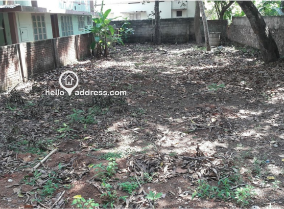 8 cents with full year well water