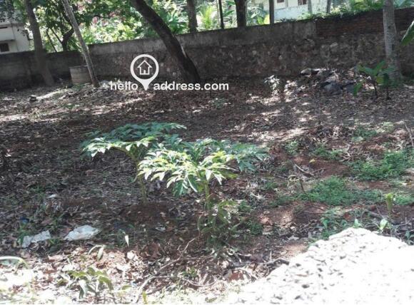 8 cents with boundary walls