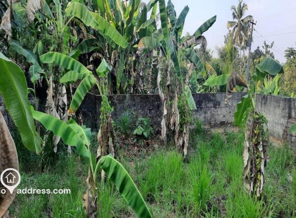 Residential Land for Sale