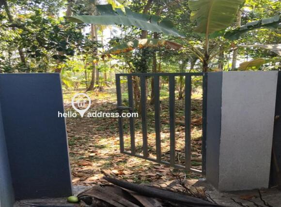 Back side parambu view