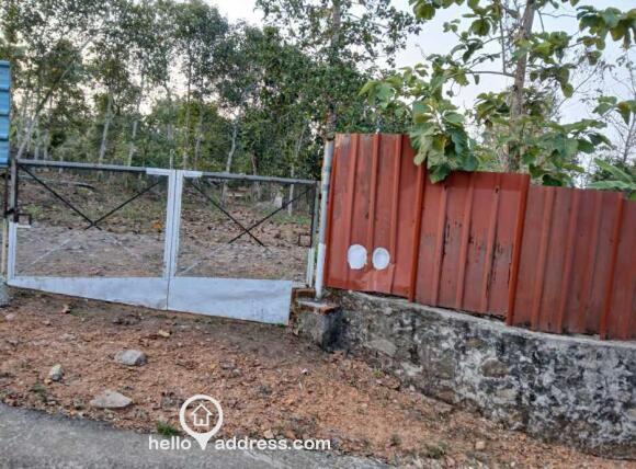 7 Gate to 22 cents plot