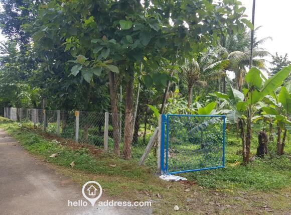 2 Acre Purayidam For sale Near Kodaly Town, Trissur District