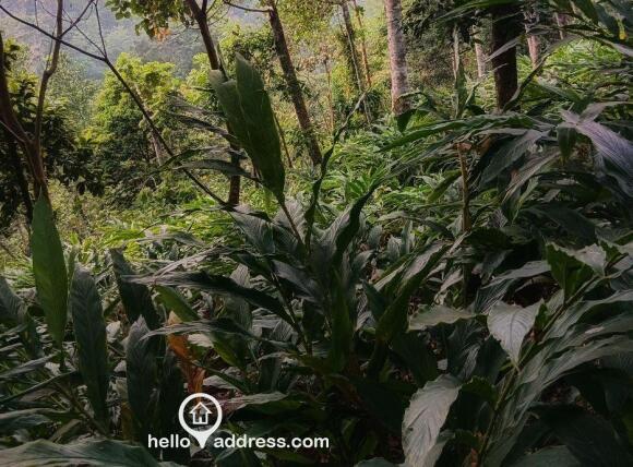 Agricultural Land for Sale