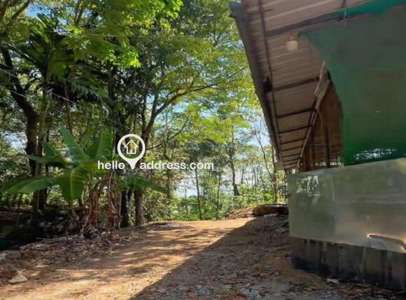 Commercial Building for Sale