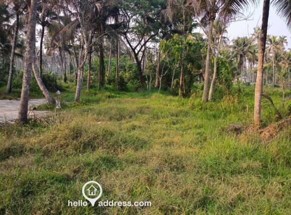 Commercial Land for Sale