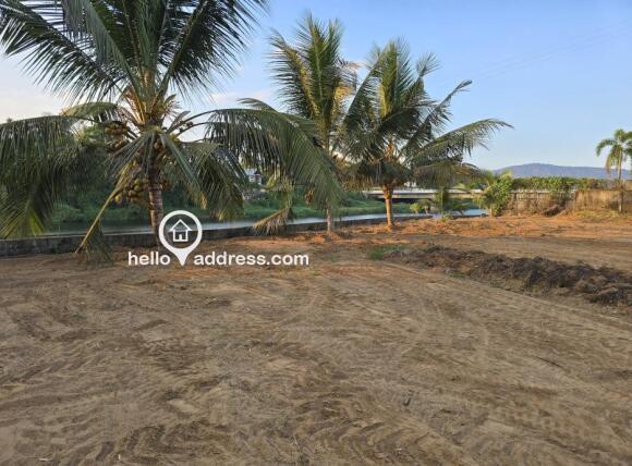 River view from land