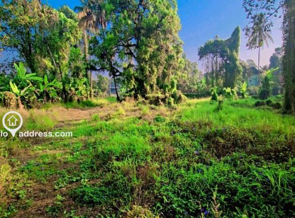 Commercial Land for Sale