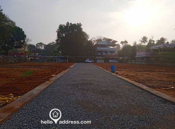 View towards front road from back side