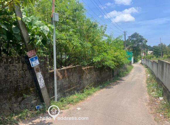 Commercial Land for Sale