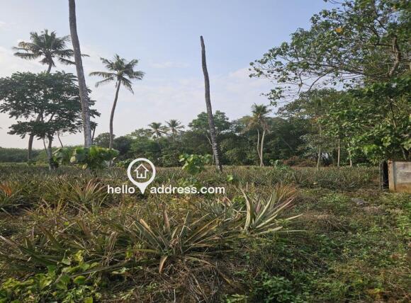 The right side view of the retangle plot