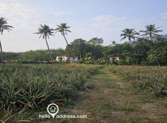 The middle of the plot