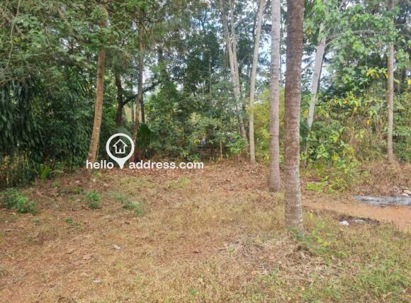 5 cents of square dry land at Puliparakunnu Government LP school on the Kodakara, Irinjalakuda bus route. Expected price Rs:2L per cent (Negotiable)