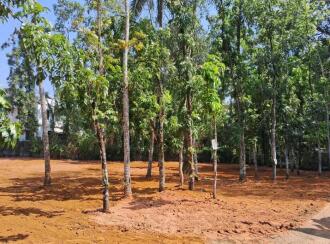 Residential Land for Sale in Kottayam, Kottayam town, Arpookara, kunnathrikka temple