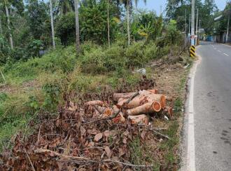 Residential Land for Sale in Alleppey, Cherthala, Cherthala town, near kalikulam junction