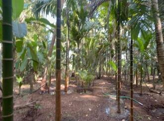 വാസയോഗ്യമായ വീട് വില്പനയ്ക്ക് Thrissur, Thrissur, Parappur, https://maps.app.goo.gl/J7zAQ6NmSvUH7qak6