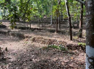 കൃഷി ഭൂമി വില്പനയ്ക്ക് കോട്ടയം, Kanjirapally, Kalaketty, Kappad Moozhicad