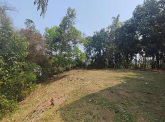 Residential Land for Sale in Ernakulam, Aluva, Aluva, Mahilayam School Road