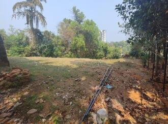 Residential Land for Sale in Ernakulam, Aluva, Aluva, Mahilayam School Road