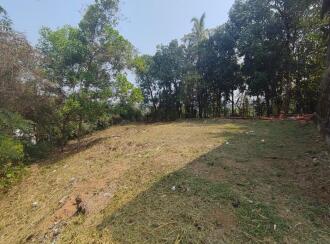 Residential Land for Sale in Ernakulam, Aluva, Aluva, Mahilayam School Road