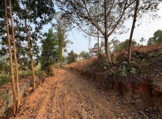 Residential Land for Sale in Pathanamthitta, Thiruvalla, Kuttapuzha, Kizhakken Muthoor