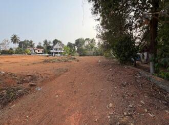 Residential Land for Sale in Pathanamthitta, Thiruvalla, Kuttapuzha, Kizhakken Muthoor
