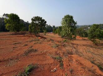 Residential Land for Sale in Pathanamthitta, Thiruvalla, Kuttapuzha, Kizhakken Muthoor