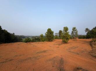 Residential Land for Sale in Pathanamthitta, Thiruvalla, Kuttapuzha, Kizhakken Muthoor