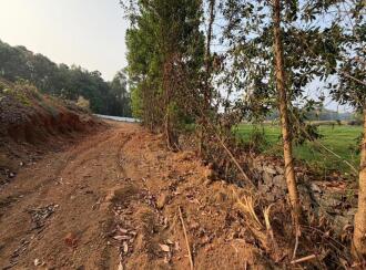 Residential Land for Sale in Pathanamthitta, Thiruvalla, Kuttapuzha, Kizhakken Muthoor