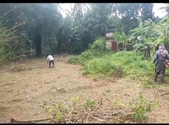 Residential Land for Sale in Pathanamthitta, Kozhencherry, Kuzhikkala, Kozhencherry -Thumpamon