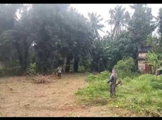Residential Land for Sale in Pathanamthitta, Kozhencherry, Kuzhikkala, Kozhencherry -Thumpamon