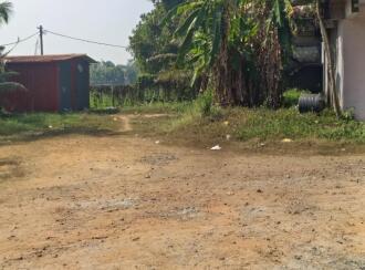 Commercial Building for Sale in Alleppey, Kuttanad, Muttar, Near Mithrakary Devi temple