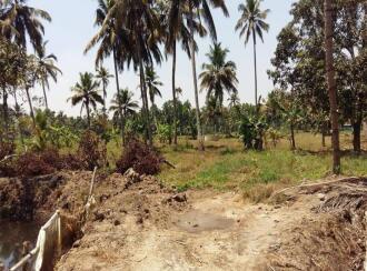 Residential Land for Sale in Alleppey, Kuttanad, Ramankary