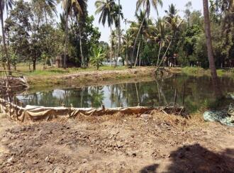 Residential Land for Sale in Alleppey, Kuttanad, Ramankary