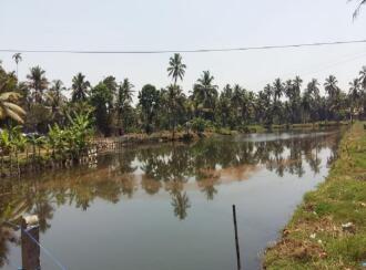 Residential Land for Sale in Alleppey, Kuttanad, Ramankary