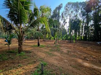 Residential Land for SaleKottayam, Thalayolaparambu, Maravanthuruth
