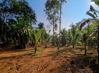 Residential Land for Sale in Kottayam, Thalayolaparambu, Maravanthuruth, NEAR BY TGM VIDYANIKETHAN SCHOOL MARAVANTHURUTHU